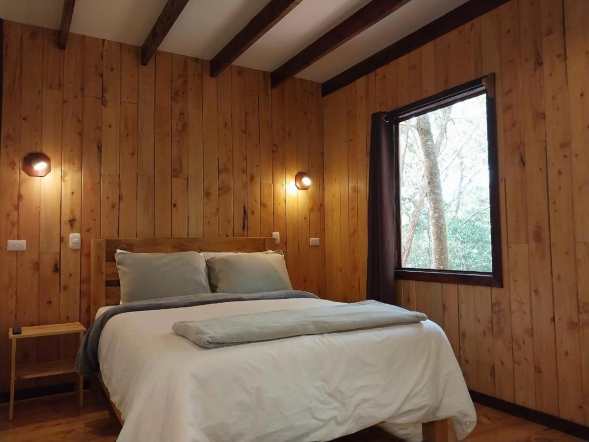 Curuba Lodge Copey Ngoại thất bức ảnh