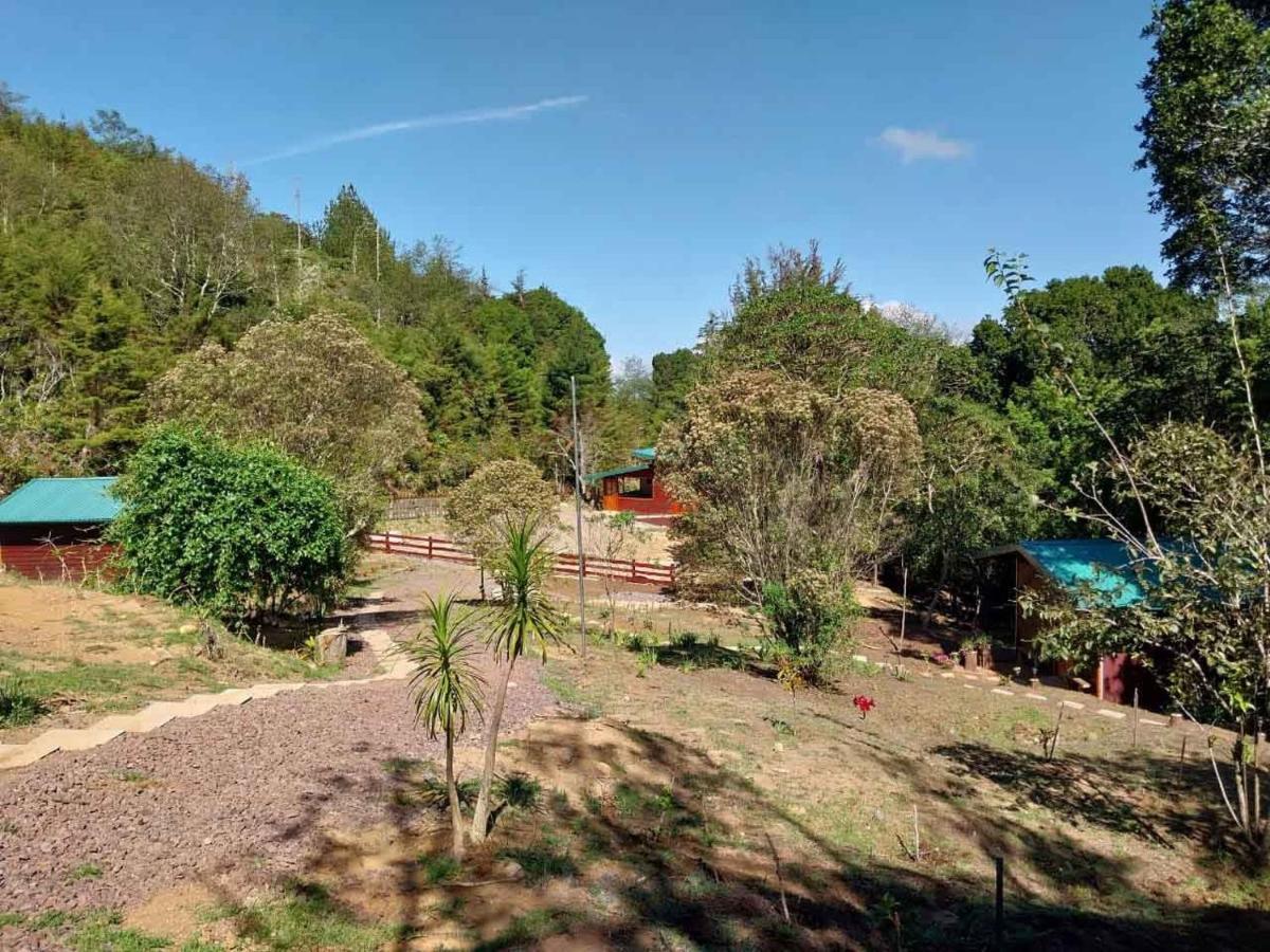 Curuba Lodge Copey Ngoại thất bức ảnh
