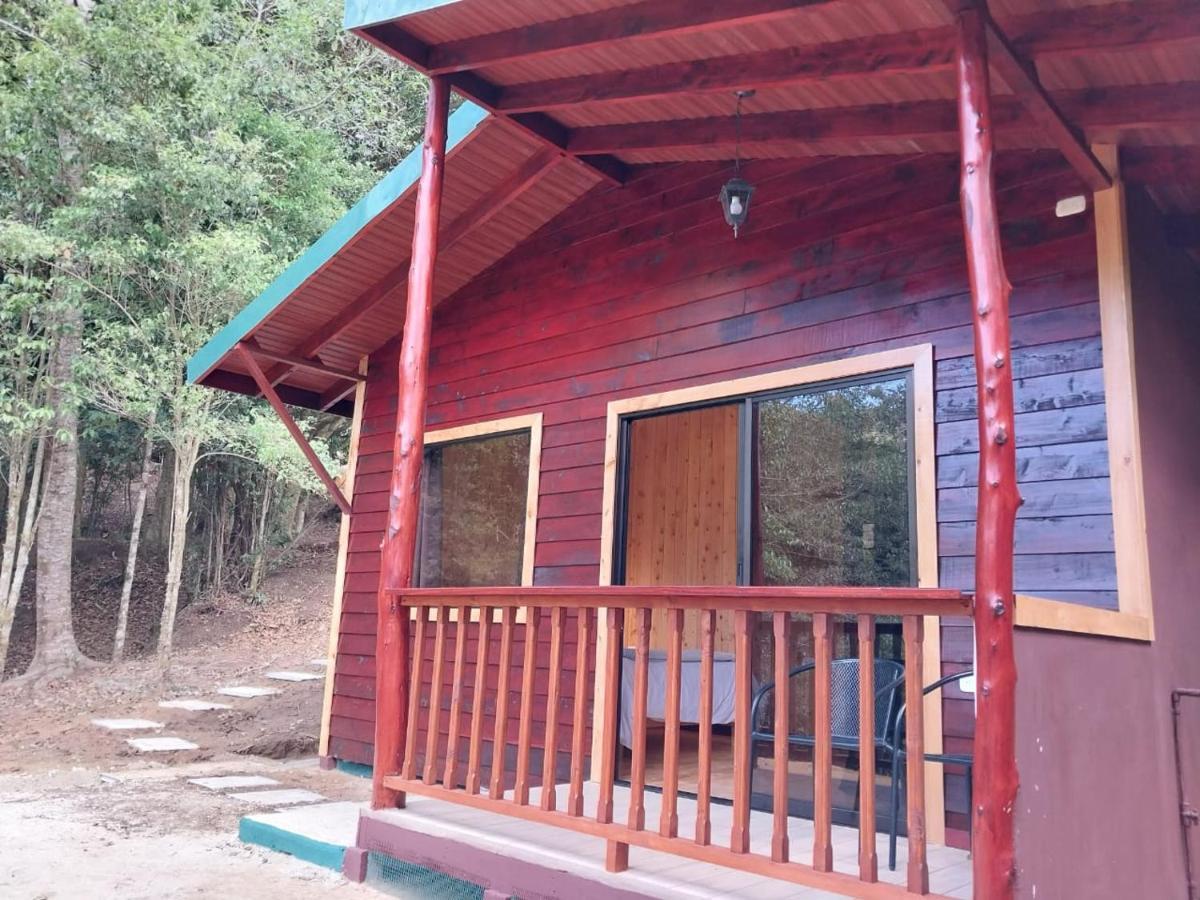 Curuba Lodge Copey Ngoại thất bức ảnh