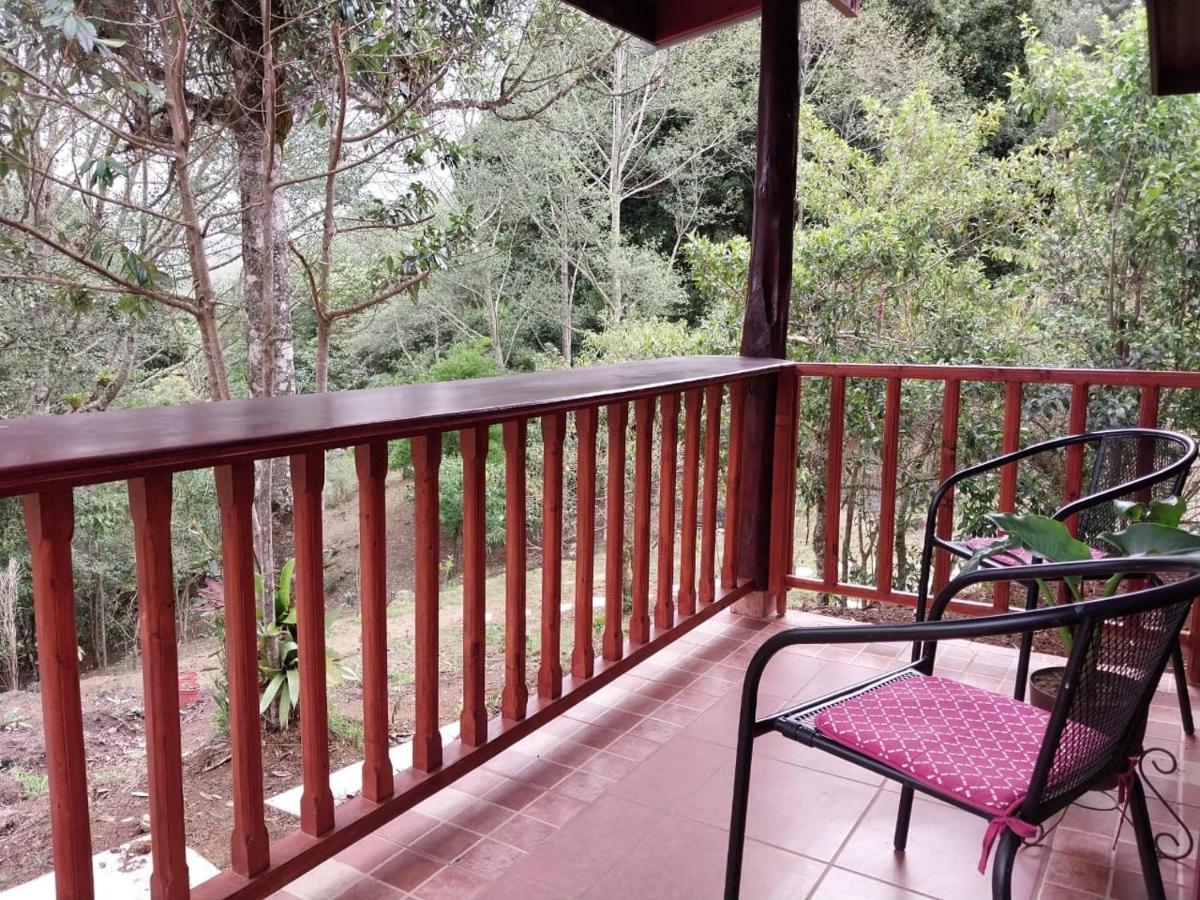 Curuba Lodge Copey Ngoại thất bức ảnh