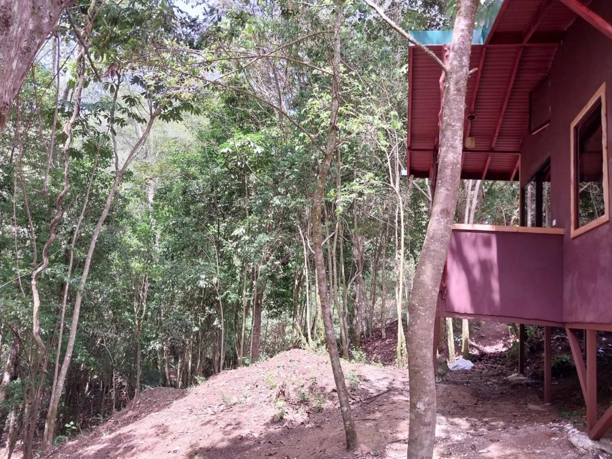 Curuba Lodge Copey Ngoại thất bức ảnh