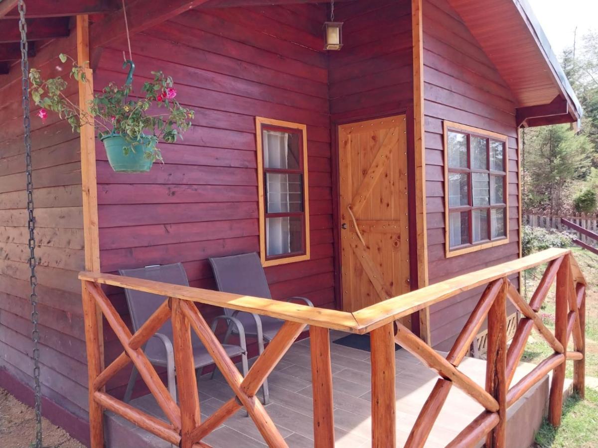 Curuba Lodge Copey Ngoại thất bức ảnh
