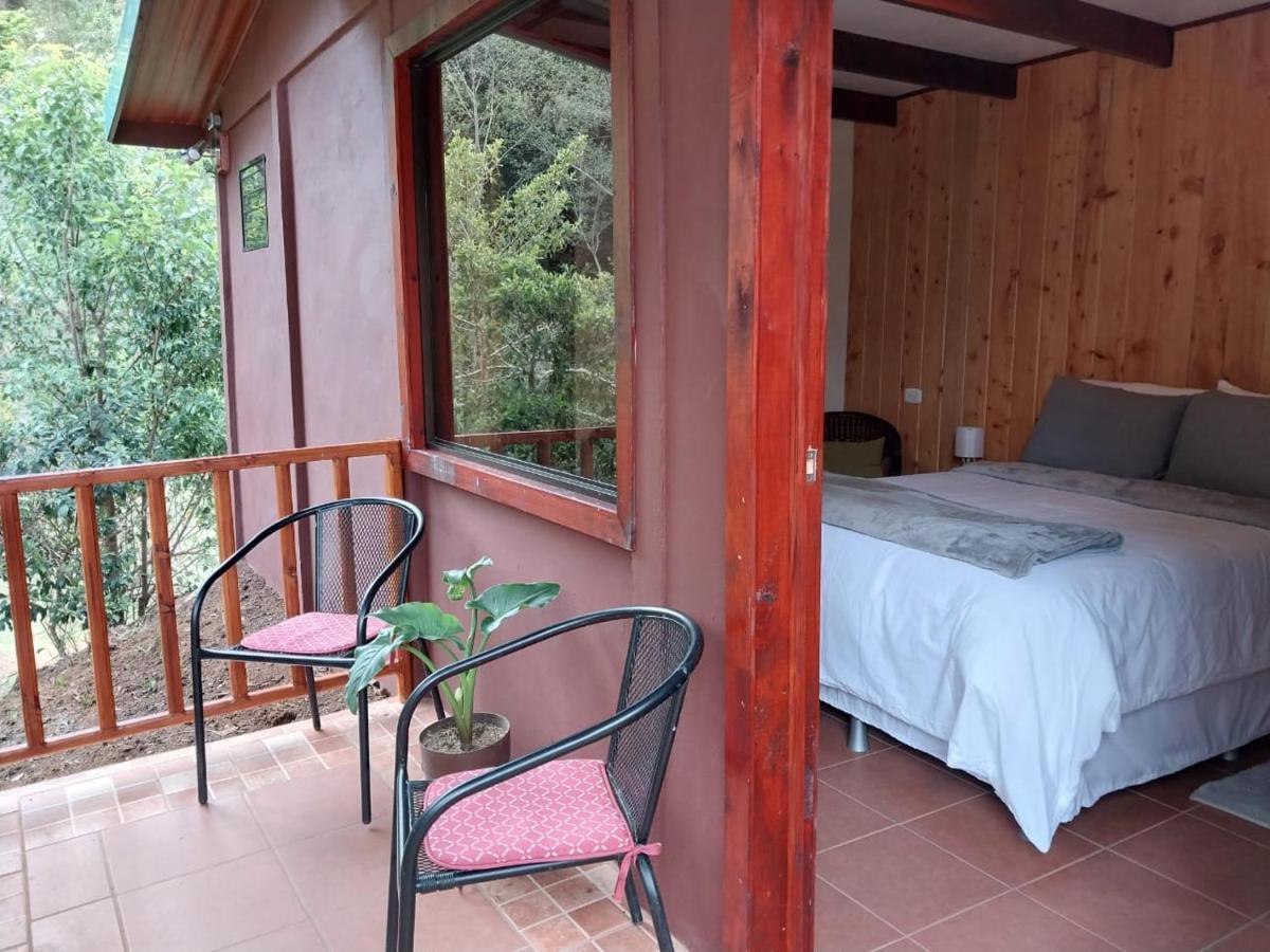 Curuba Lodge Copey Ngoại thất bức ảnh