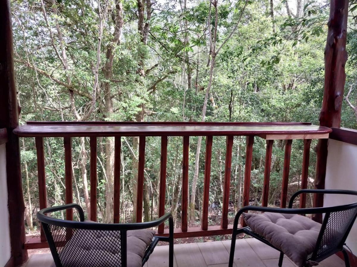 Curuba Lodge Copey Ngoại thất bức ảnh