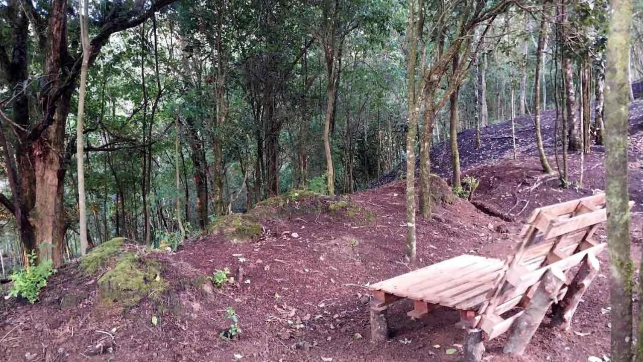 Curuba Lodge Copey Ngoại thất bức ảnh