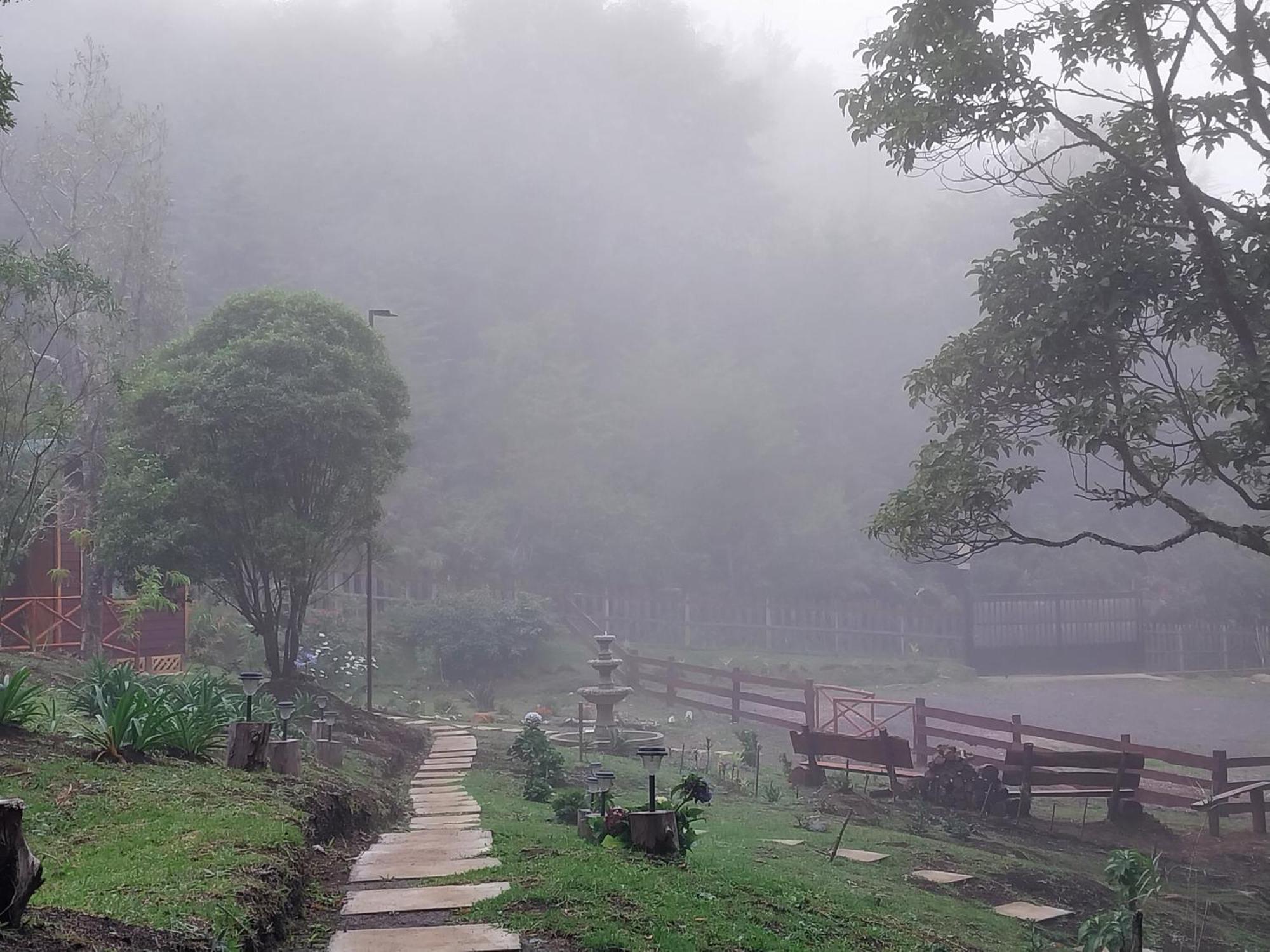 Curuba Lodge Copey Ngoại thất bức ảnh