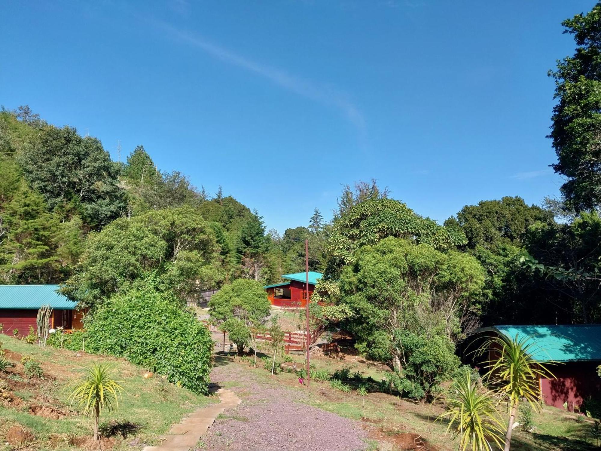 Curuba Lodge Copey Ngoại thất bức ảnh