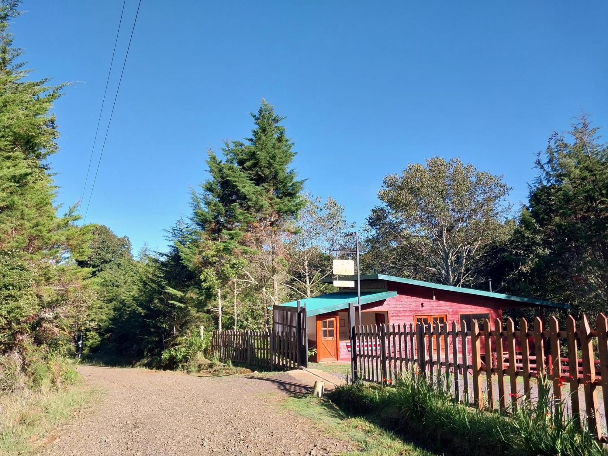Curuba Lodge Copey Ngoại thất bức ảnh