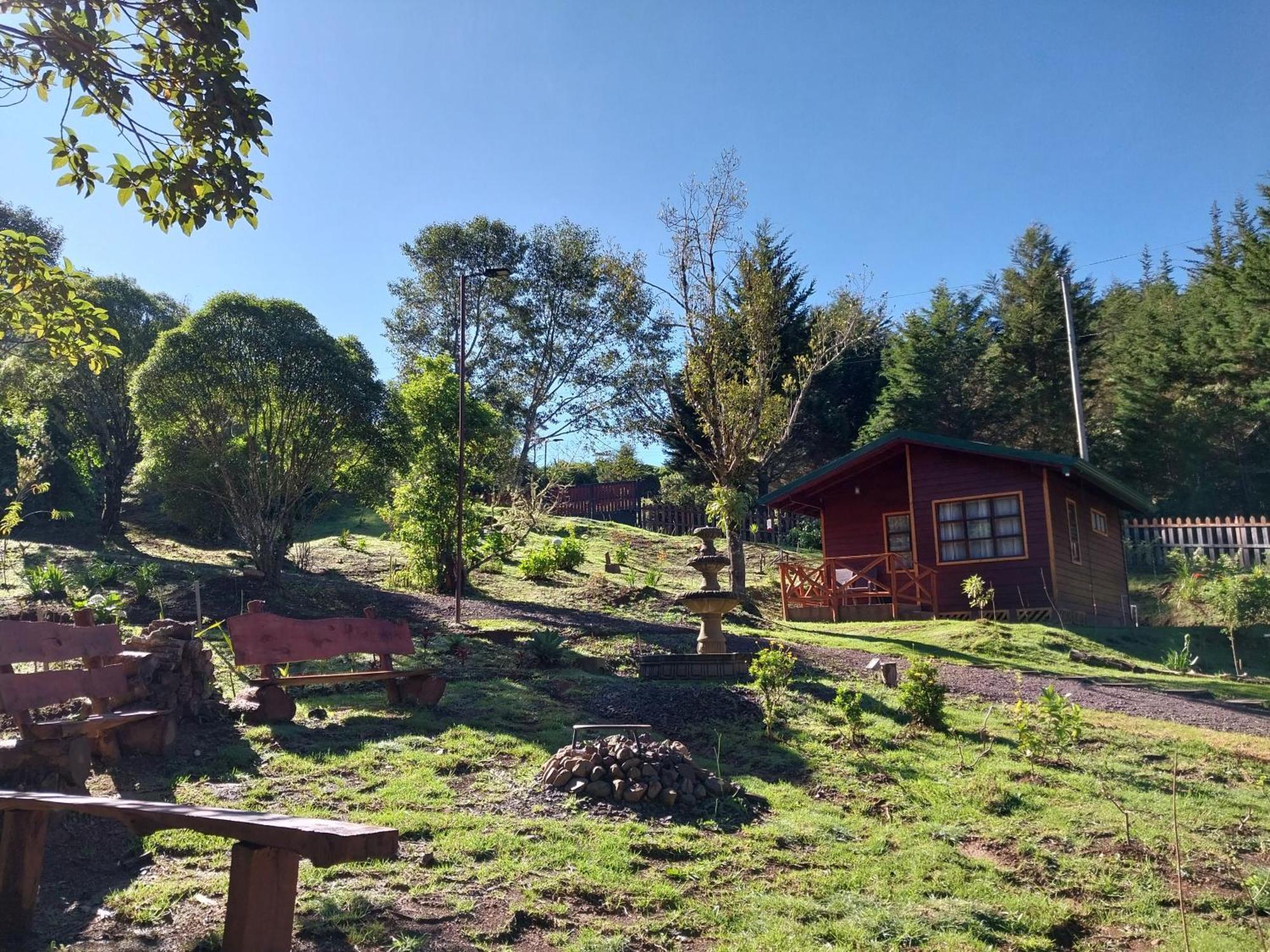 Curuba Lodge Copey Ngoại thất bức ảnh