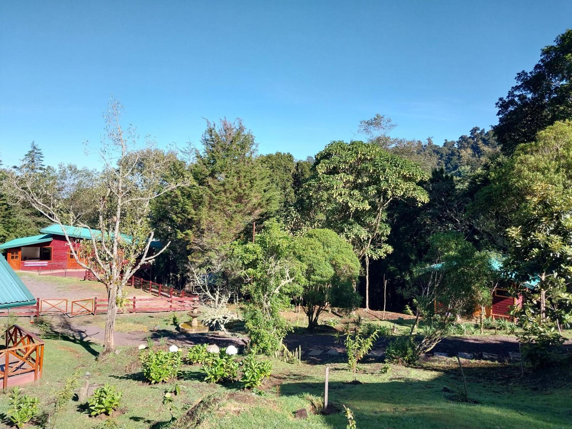 Curuba Lodge Copey Ngoại thất bức ảnh