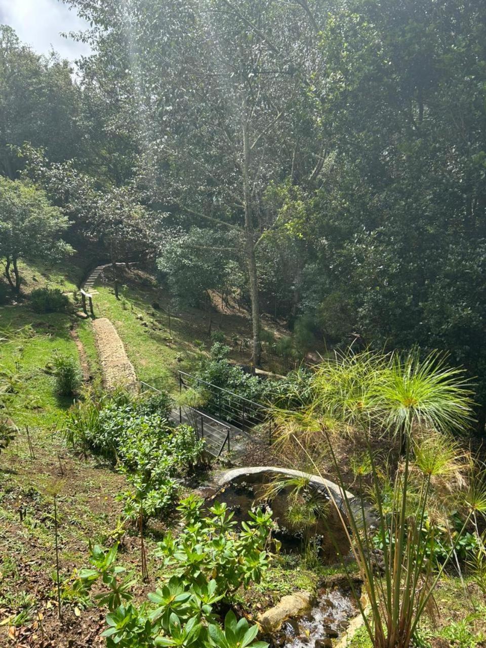 Curuba Lodge Copey Ngoại thất bức ảnh