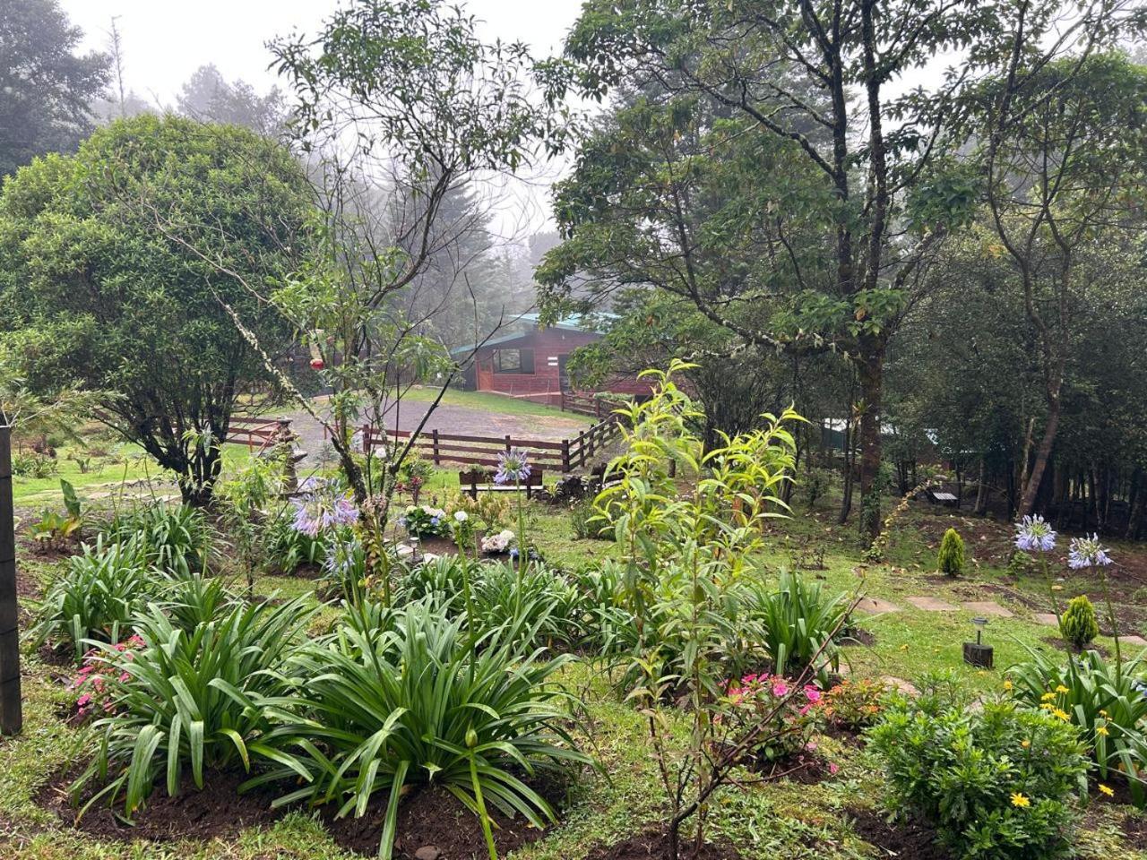 Curuba Lodge Copey Ngoại thất bức ảnh