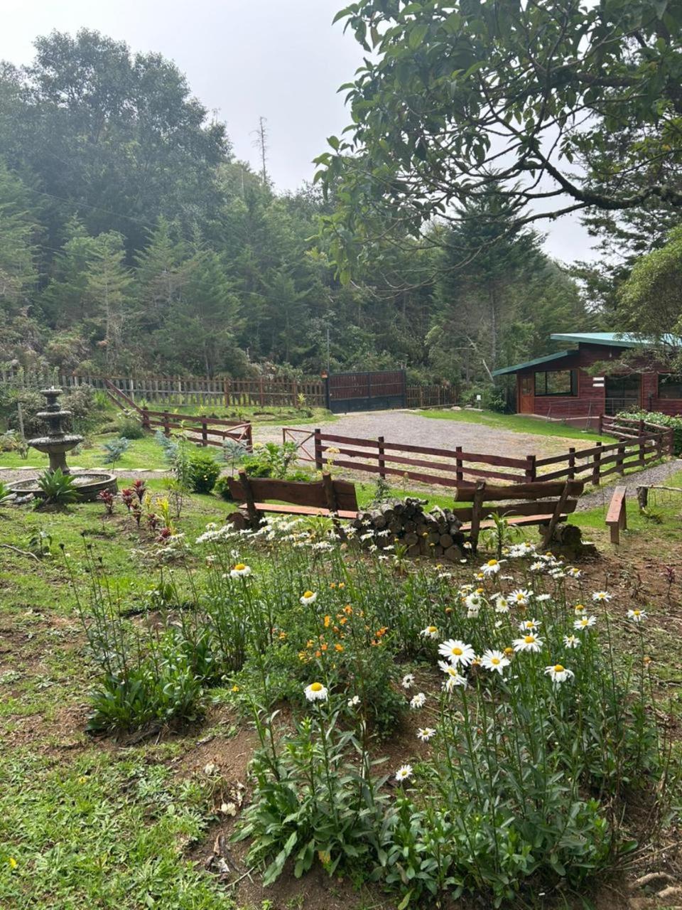 Curuba Lodge Copey Ngoại thất bức ảnh