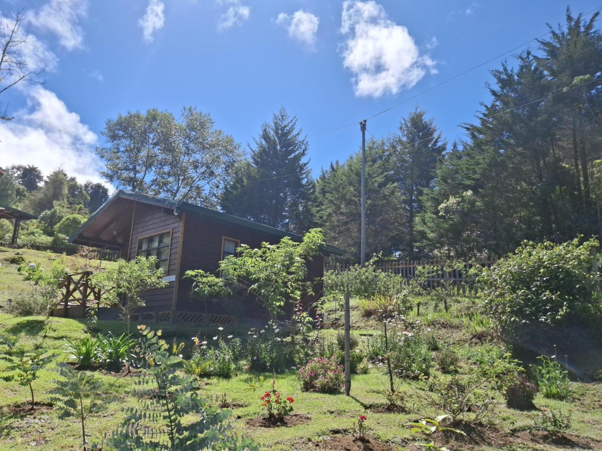 Curuba Lodge Copey Ngoại thất bức ảnh