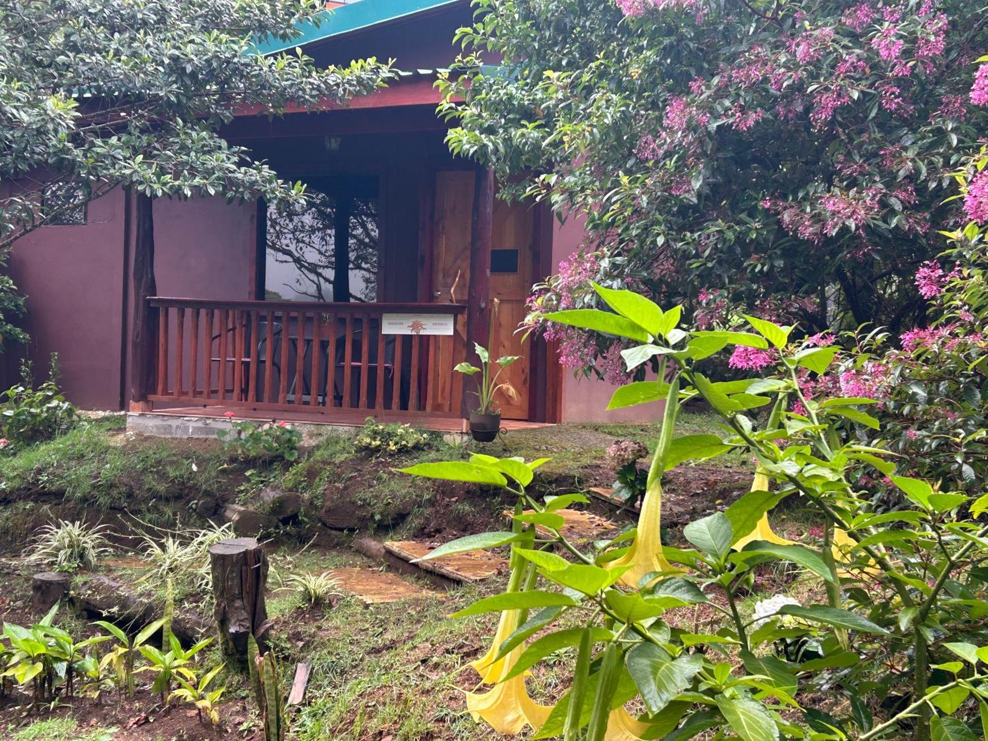 Curuba Lodge Copey Ngoại thất bức ảnh