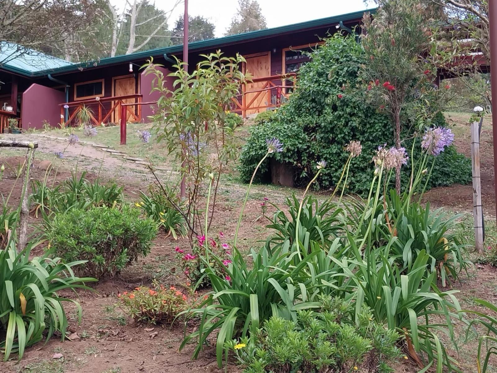 Curuba Lodge Copey Ngoại thất bức ảnh
