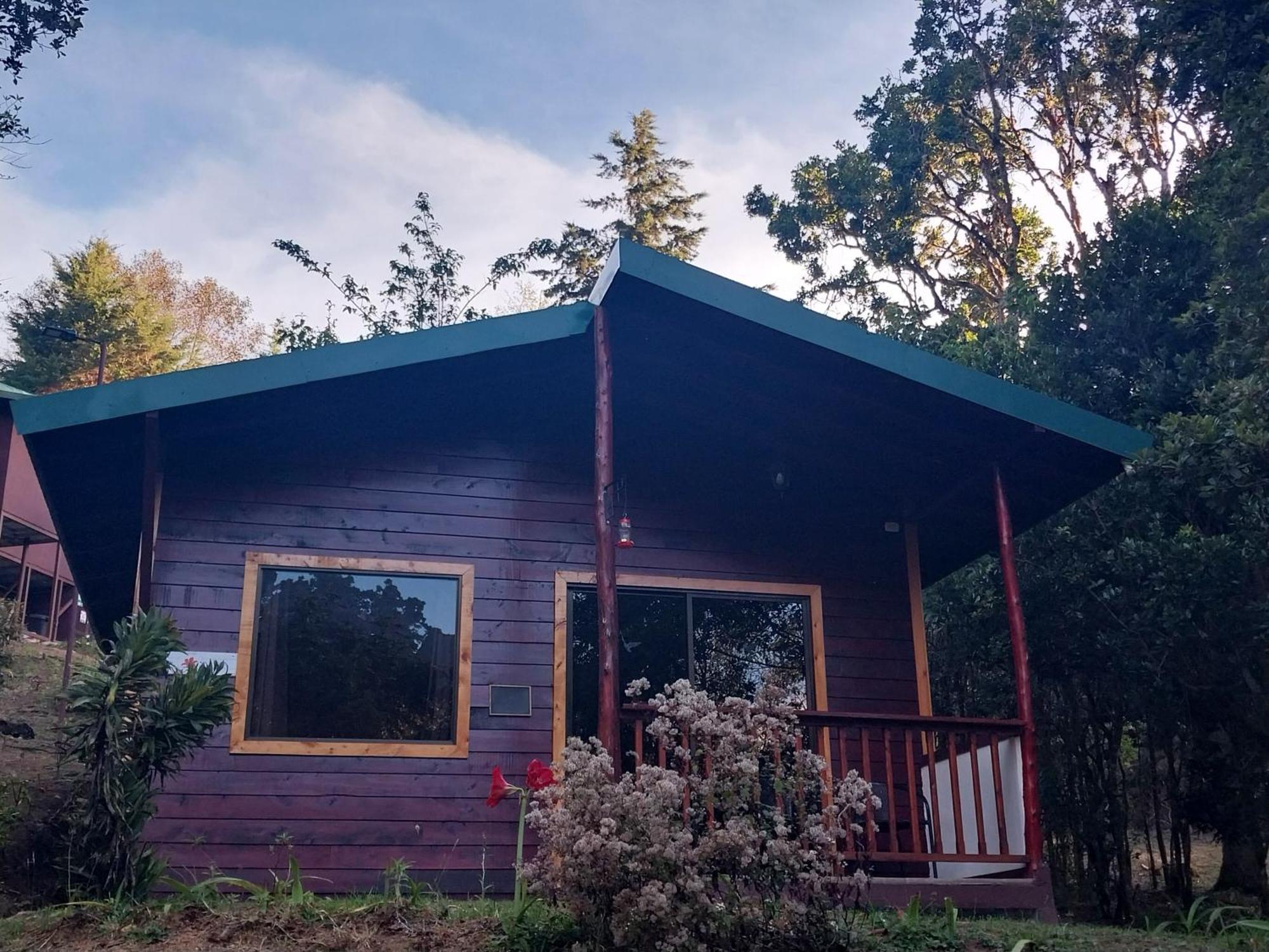Curuba Lodge Copey Ngoại thất bức ảnh