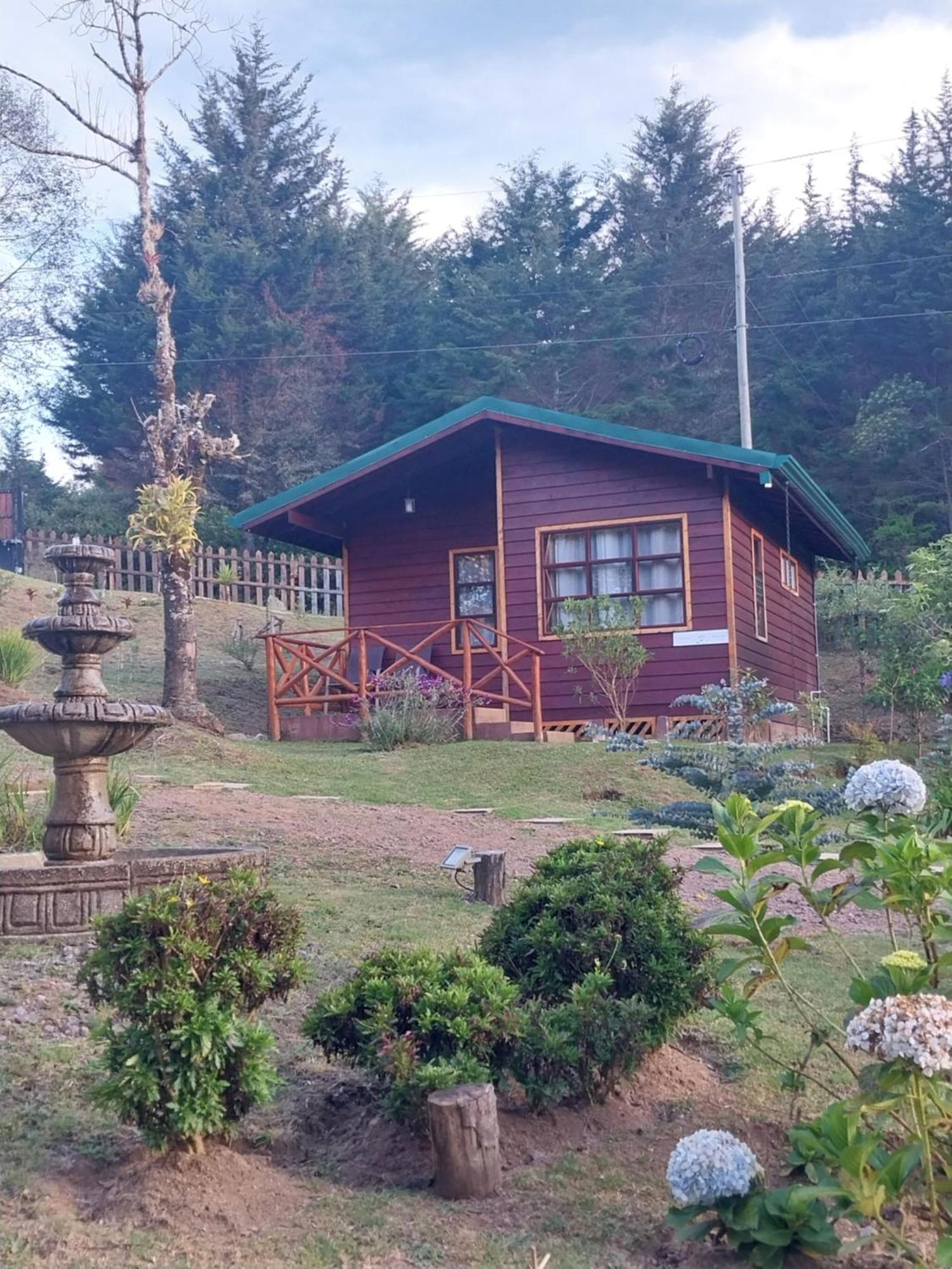 Curuba Lodge Copey Ngoại thất bức ảnh