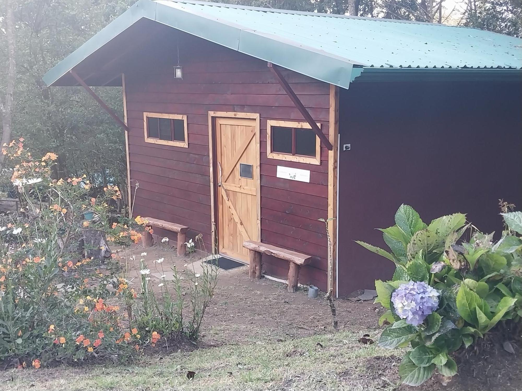 Curuba Lodge Copey Ngoại thất bức ảnh